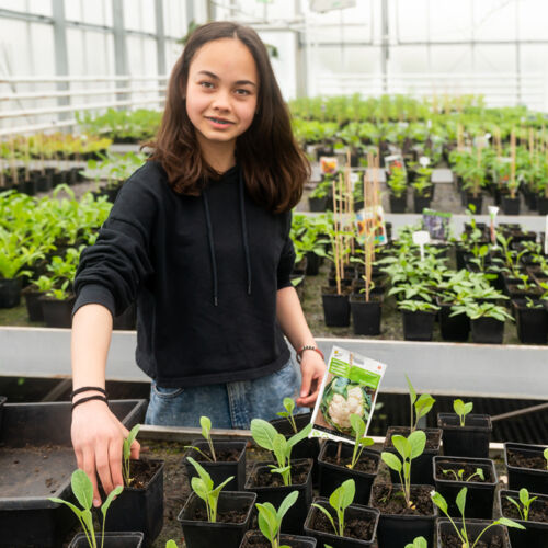 Productie groen onderwijs