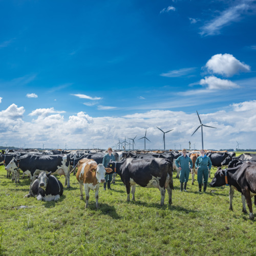 Groen onderwijs energie