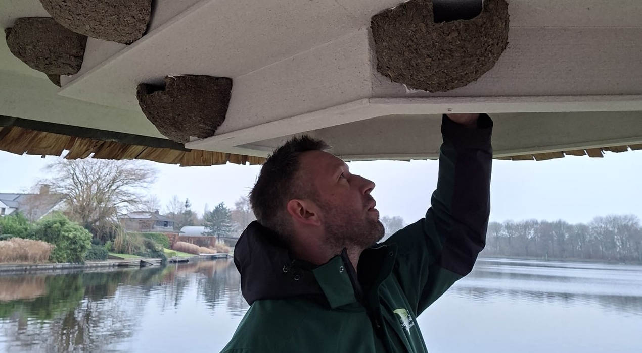 Zwaluwtil geplaatst in De Heide