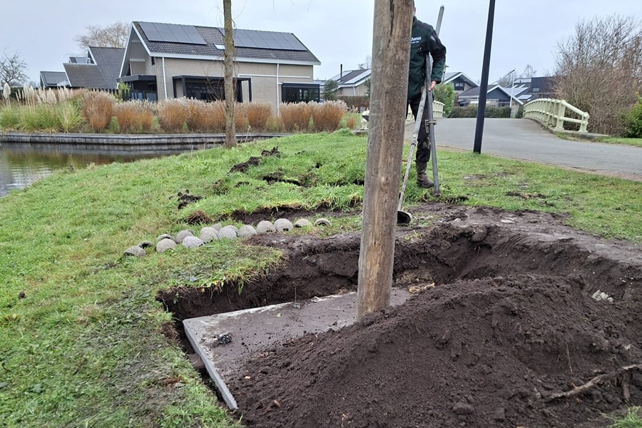 Zwaluwtil geplaatst in De Heide