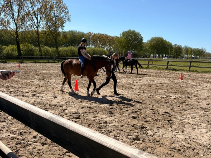 ponydag meivakantie sneek