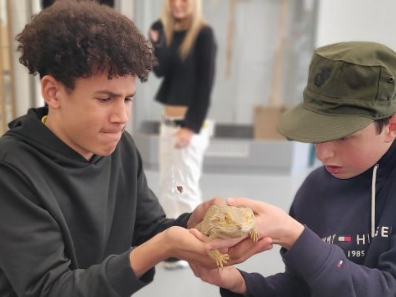 Twee jongens met reptiel